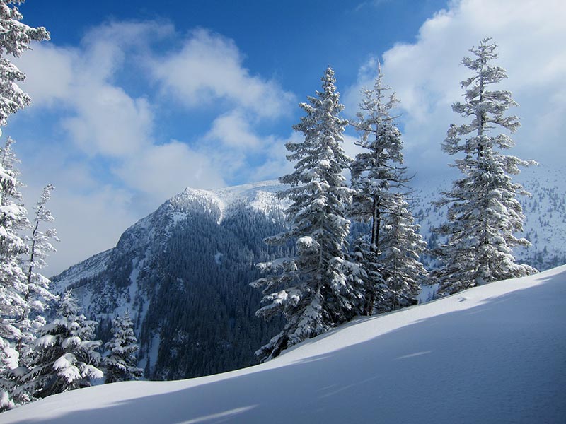 Kuhschneeberg